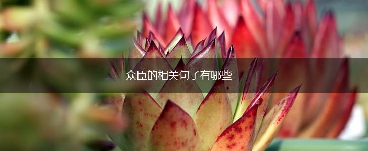 众臣的相关句子有哪些,第1张