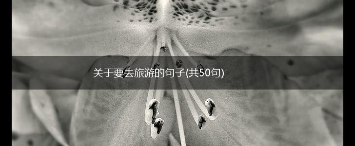 关于要去旅游的句子(共50句),第1张