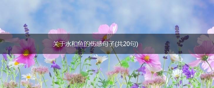 关于水和鱼的伤感句子(共20句),第1张