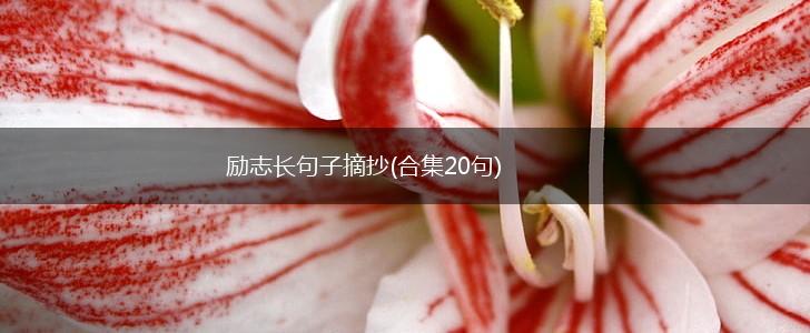 励志长句子摘抄(合集20句),第1张
