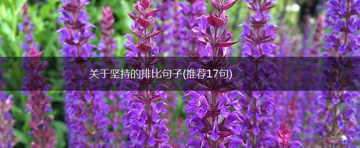 关于坚持的排比句子(推荐17句),第1张