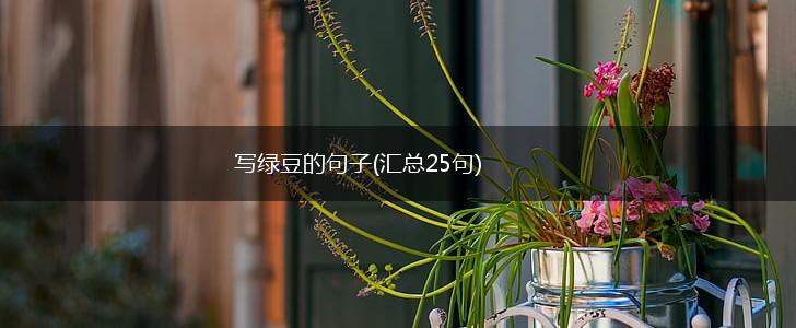 写绿豆的句子(汇总25句),第1张