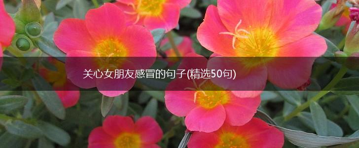 关心女朋友感冒的句子(精选50句),第1张