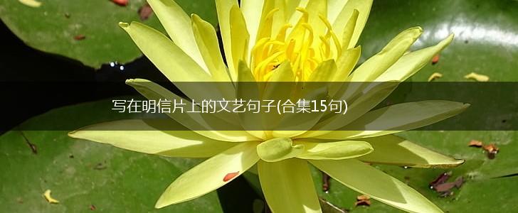写在明信片上的文艺句子(合集15句),第1张