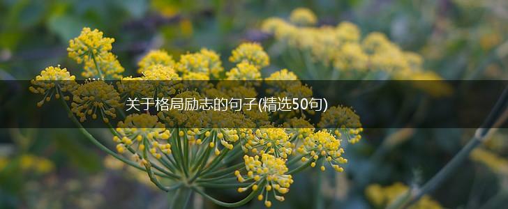 关于格局励志的句子(精选50句),第1张