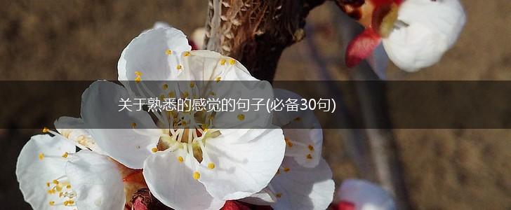 关于熟悉的感觉的句子(必备30句),第1张