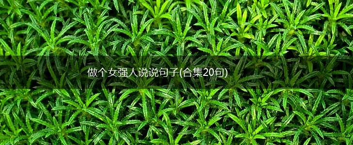 做个女强人说说句子(合集20句),第1张