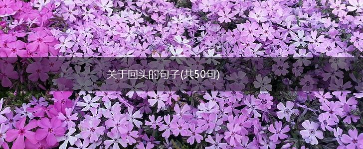 关于回头的句子(共50句),第1张