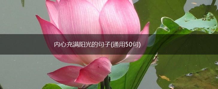 内心充满阳光的句子(通用50句),第1张