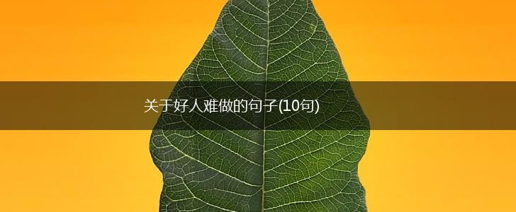 关于好人难做的句子(10句),第1张