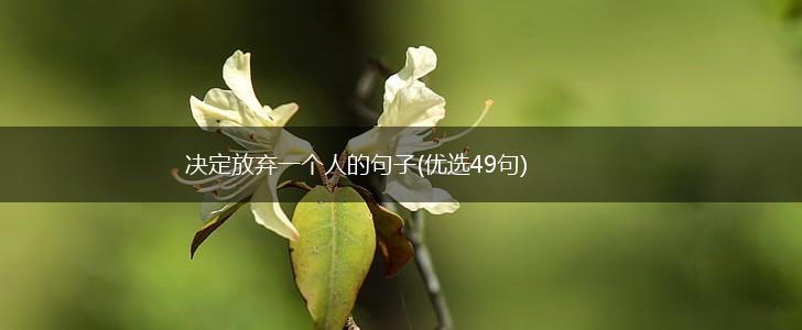 决定放弃一个人的句子(优选49句),第1张