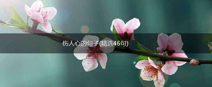 伤人心的句子(精选46句),第1张