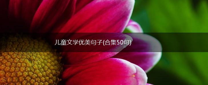 儿童文学优美句子(合集50句),第1张