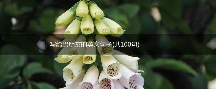写给男朋友的英文句子(共100句),第1张