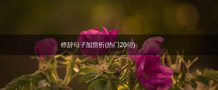 修辞句子加赏析(热门20句),第1张