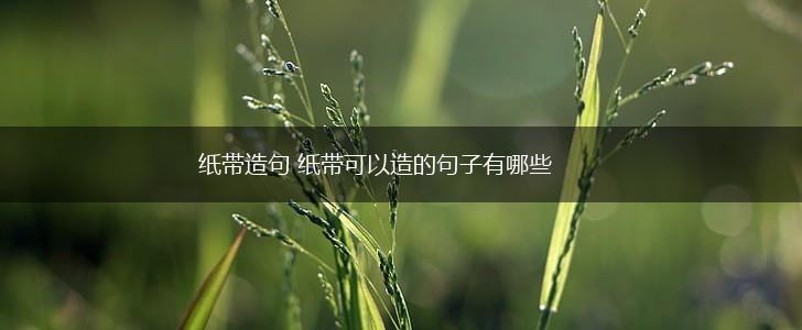 纸带造句 纸带可以造的句子有哪些,第1张