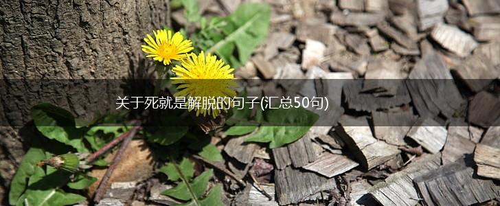 关于死就是解脱的句子(汇总50句),第1张