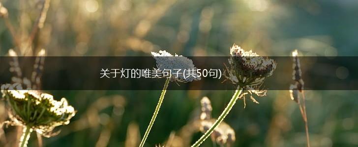 关于灯的唯美句子(共50句),第1张