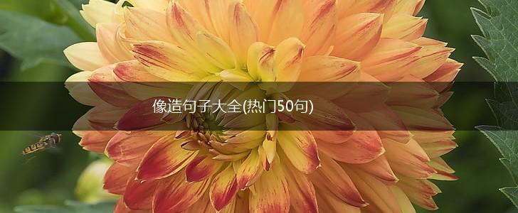 像造句子大全(热门50句),第1张
