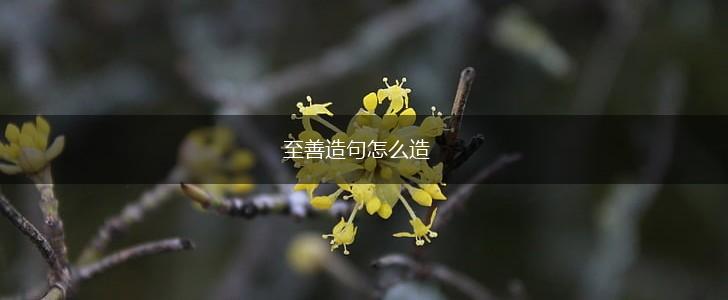 至善造句怎么造,第1张