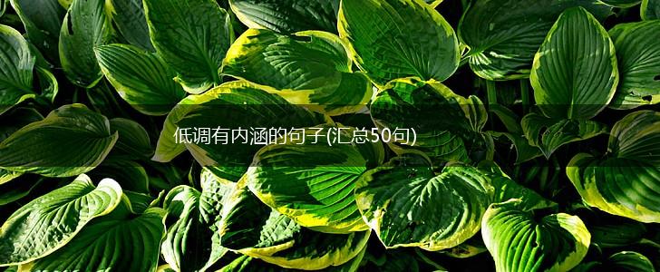 低调有内涵的句子(汇总50句),第1张