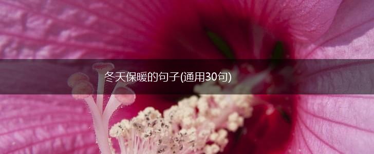冬天保暖的句子(通用30句),第1张
