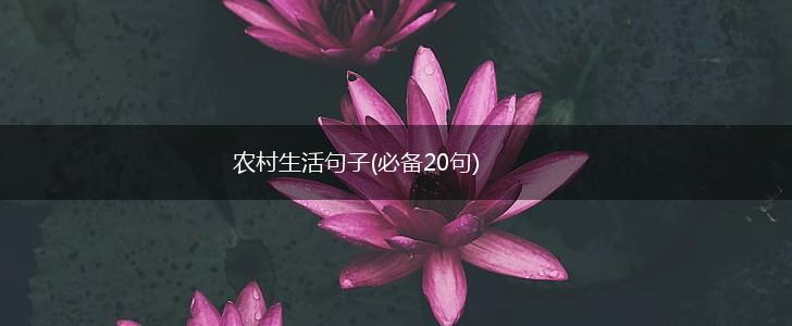 农村生活句子(必备20句),第1张