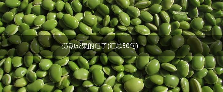 劳动成果的句子(汇总50句),第1张