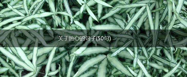关于热心的句子(50句),第1张