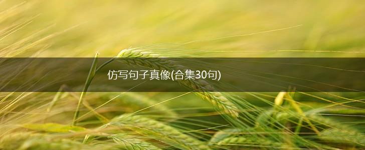 仿写句子真像(合集30句),第1张