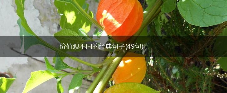 价值观不同的经典句子(49句),第1张