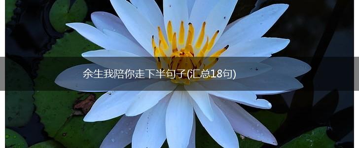余生我陪你走下半句子(汇总18句),第1张