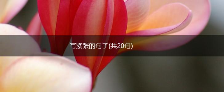 写紧张的句子(共20句),第1张