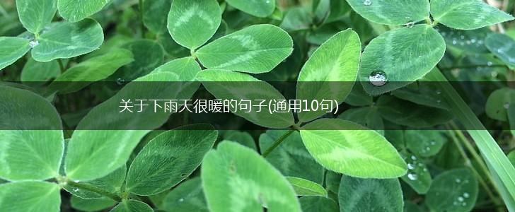关于下雨天很暖的句子(通用10句),第1张