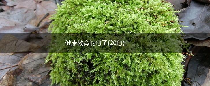 健康教育的句子(20句),第1张