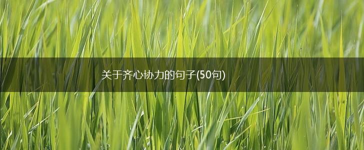 关于齐心协力的句子(50句),第1张