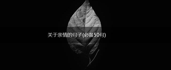 关于亲情的句子(必备50句),第1张