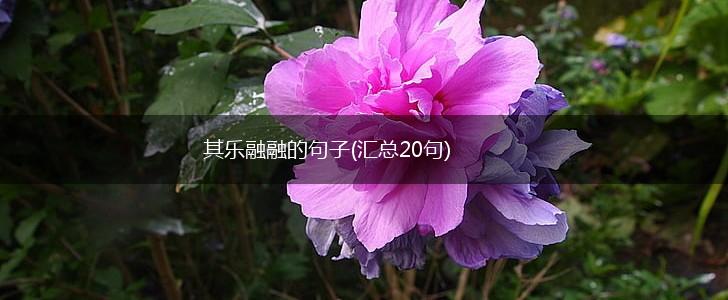 其乐融融的句子(汇总20句),第1张