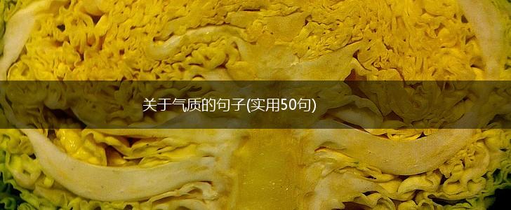 关于气质的句子(实用50句),第1张
