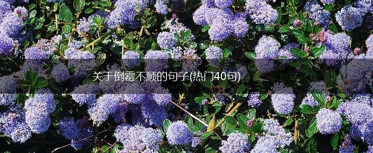 关于倒霉不顺的句子(热门40句),第1张