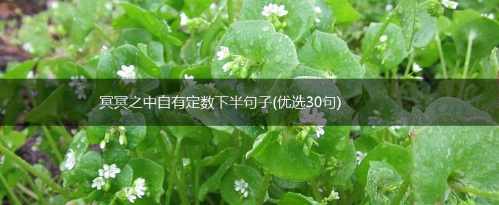冥冥之中自有定数下半句子(优选30句),第1张