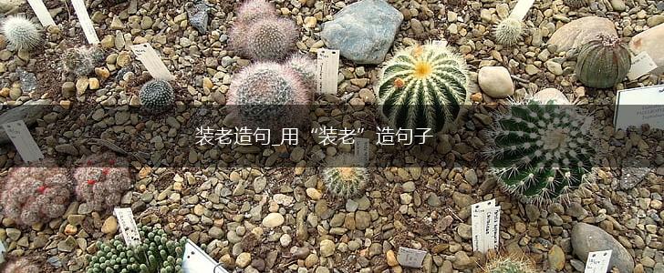 装老造句_用“装老”造句子,第1张
