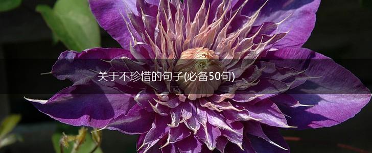 关于不珍惜的句子(必备50句),第1张