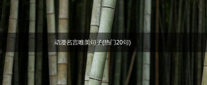 动漫名言唯美句子(热门20句),第1张