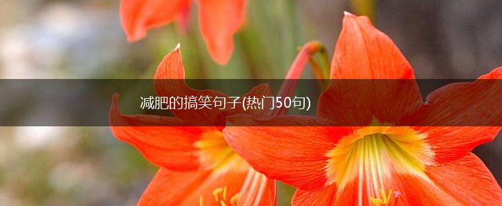 减肥的搞笑句子(热门50句),第1张