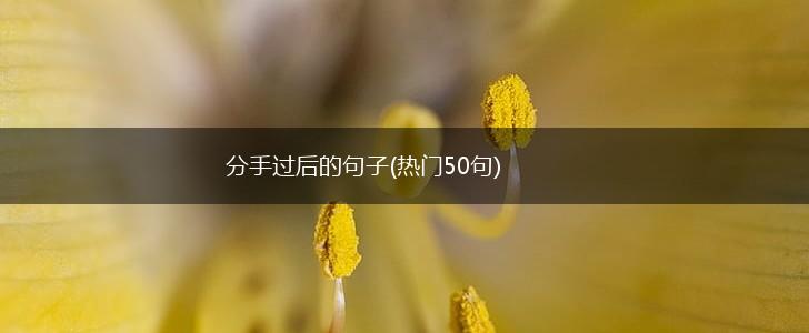 分手过后的句子(热门50句),第1张