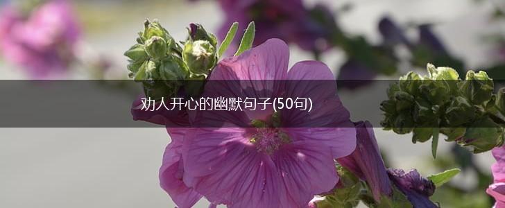 劝人开心的幽默句子(50句),第1张