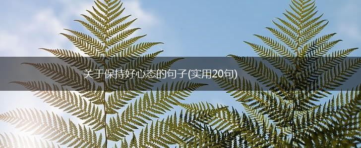 关于保持好心态的句子(实用20句),第1张