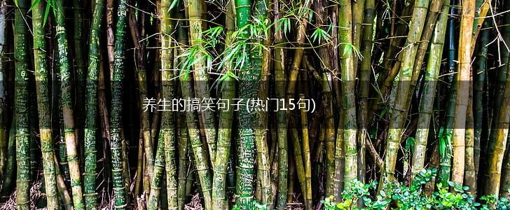 养生的搞笑句子(热门15句),第1张
