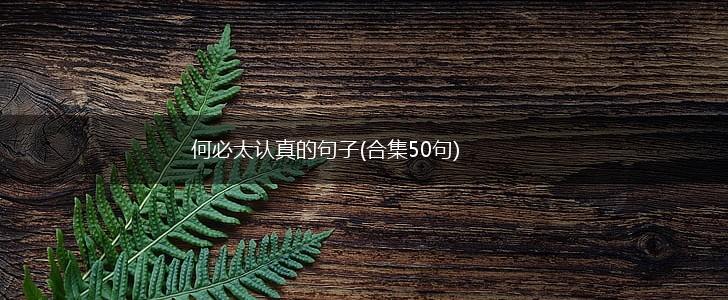 何必太认真的句子(合集50句),第1张